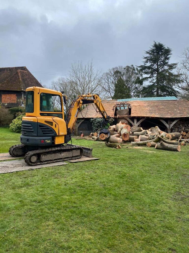 This is a photo of a tree which has grown through the roof of a barn that is being cut down and removed. There is a digger that is removing sections of the tree as well. Hitchin Tree Surgeons