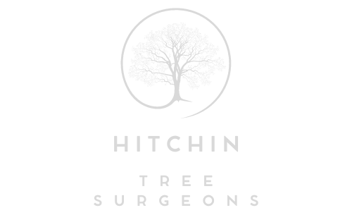 Hitchin Tree Surgeons